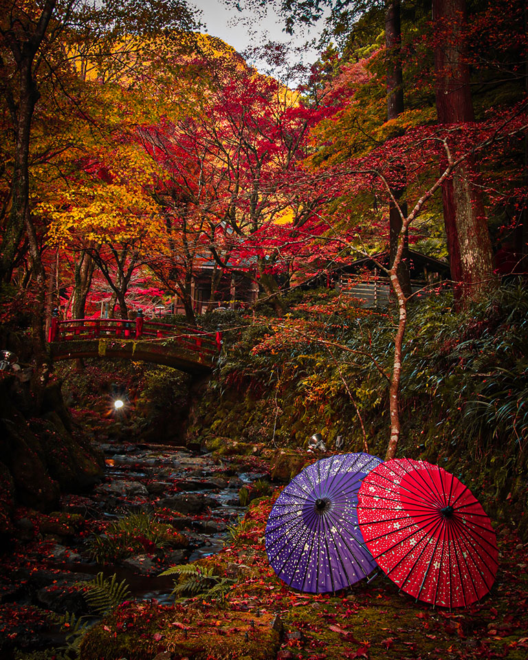 入賞　y.m.photographさんの作品「秋の横蔵寺」