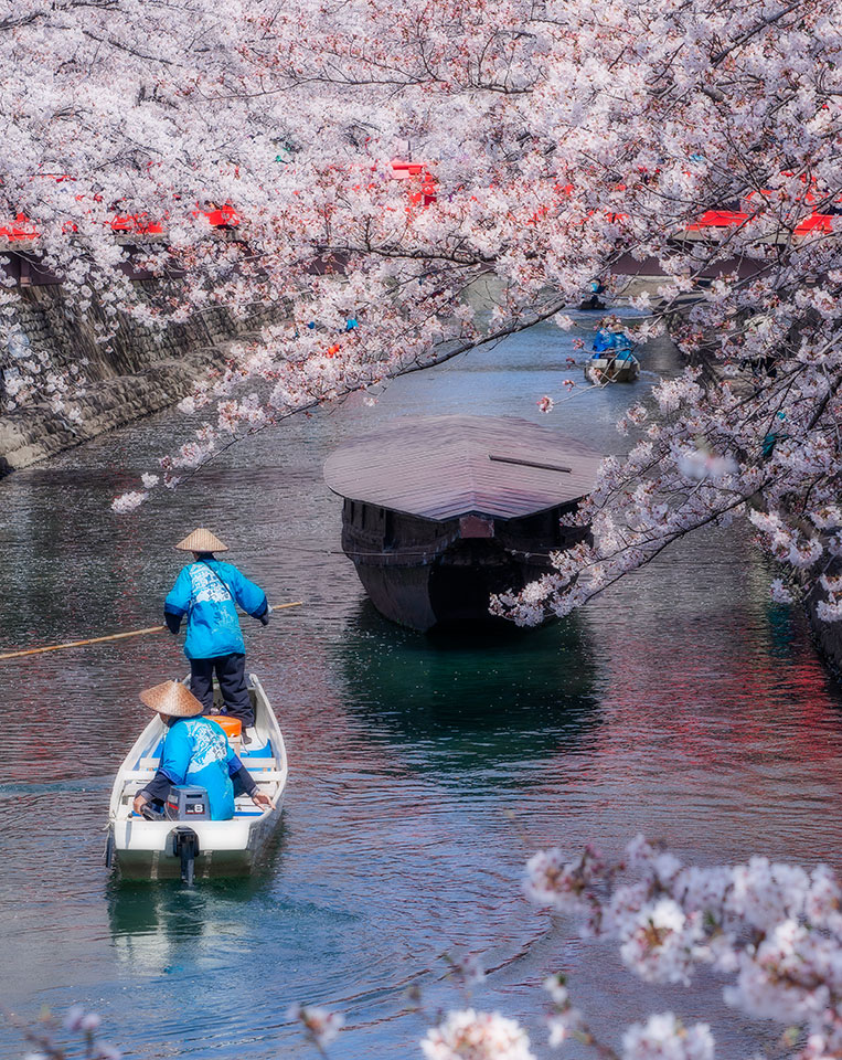 入賞　hiroさんの作品「春の水都」